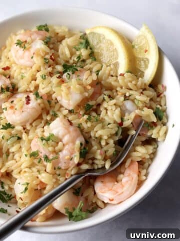 One Pot Lemon Shrimp Orzo