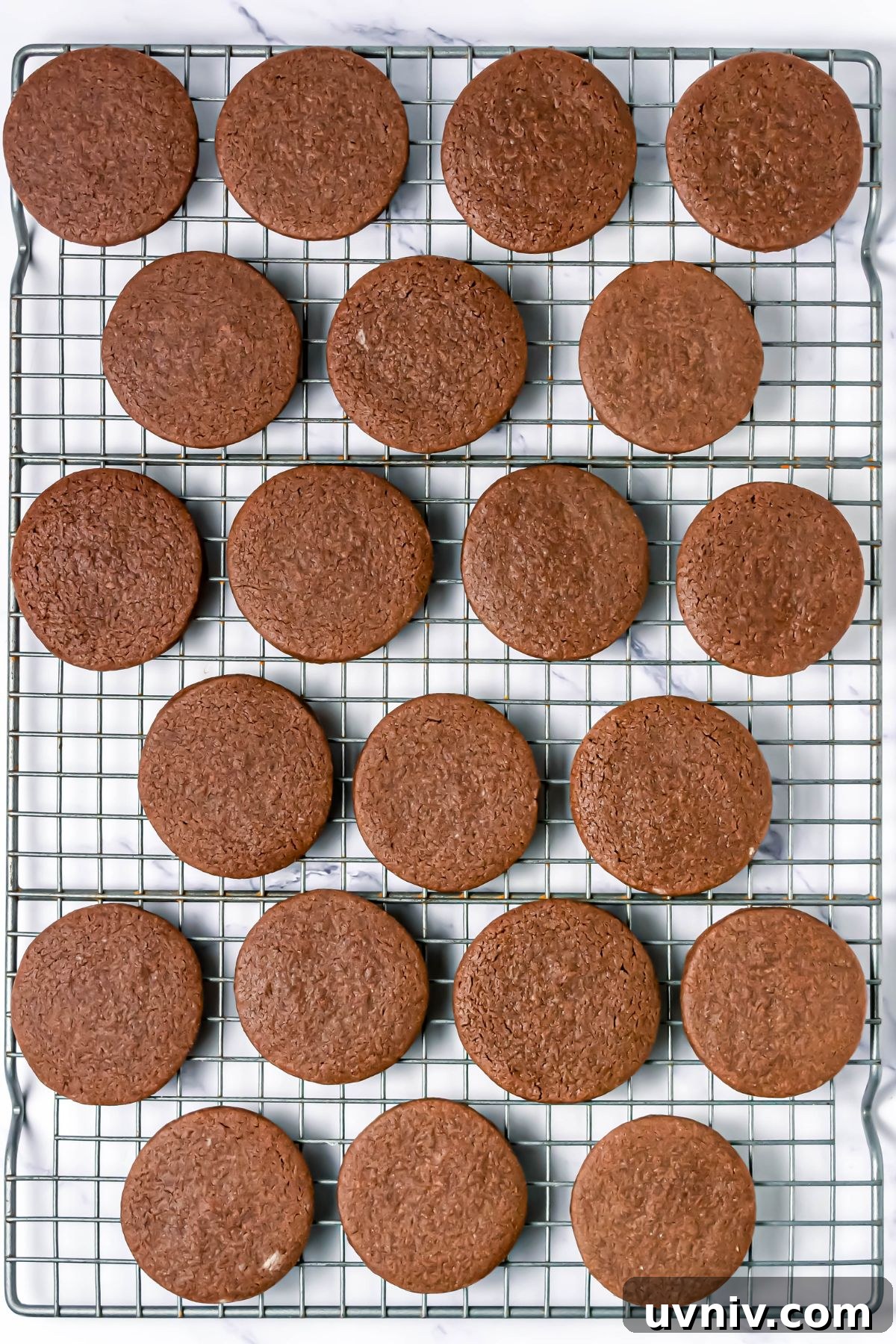 Chocolate cookies cooling on a wire rack.