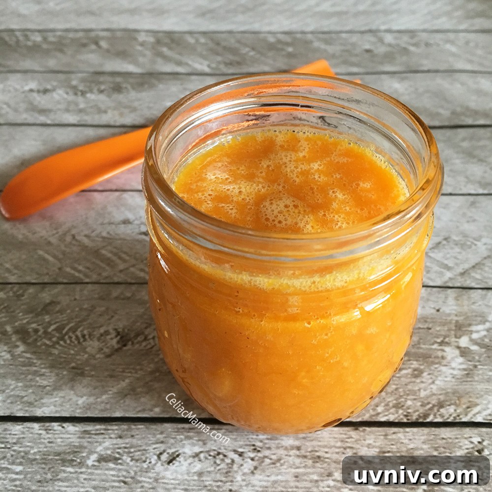 Dairy-Free Orange Wellness Smoothie Recipe 3 orange wellness smoothie