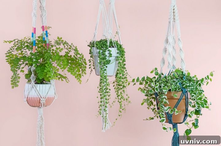 9 Stylish Macramé Projects to Update Your Home Décor 6 How to Make a Macramé Plant Hanger from FTD | 8 Modern DIY Macrame Projects