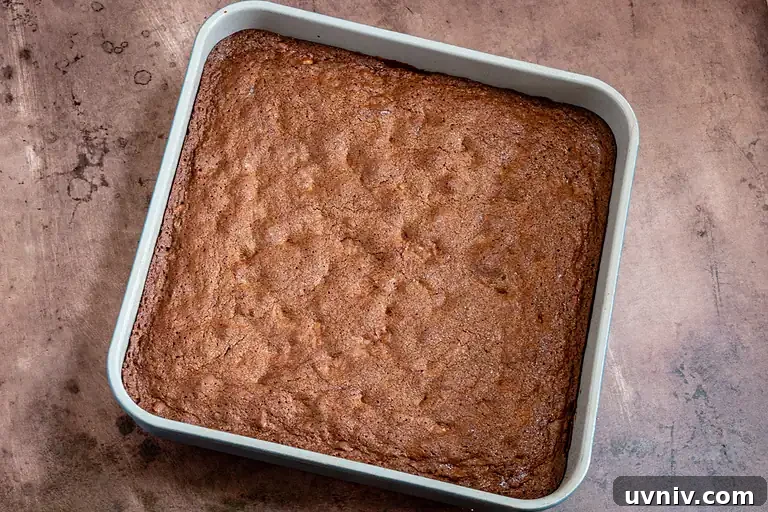Crunchy Walnut Brownies: Fudgy Chocolate Brownie Recipe 4 nutty brownies in the pan