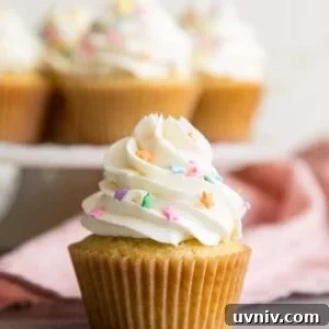 A vanilla cupcake with white frosting and star sprinkles