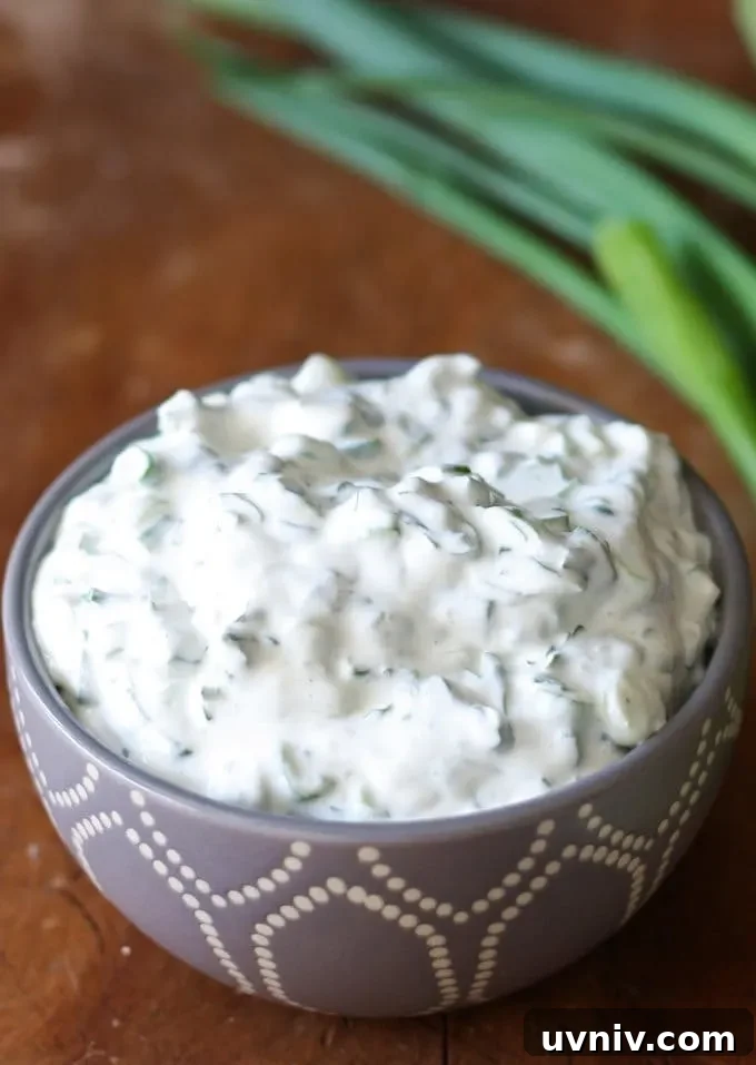 Easy Green Onion Dip