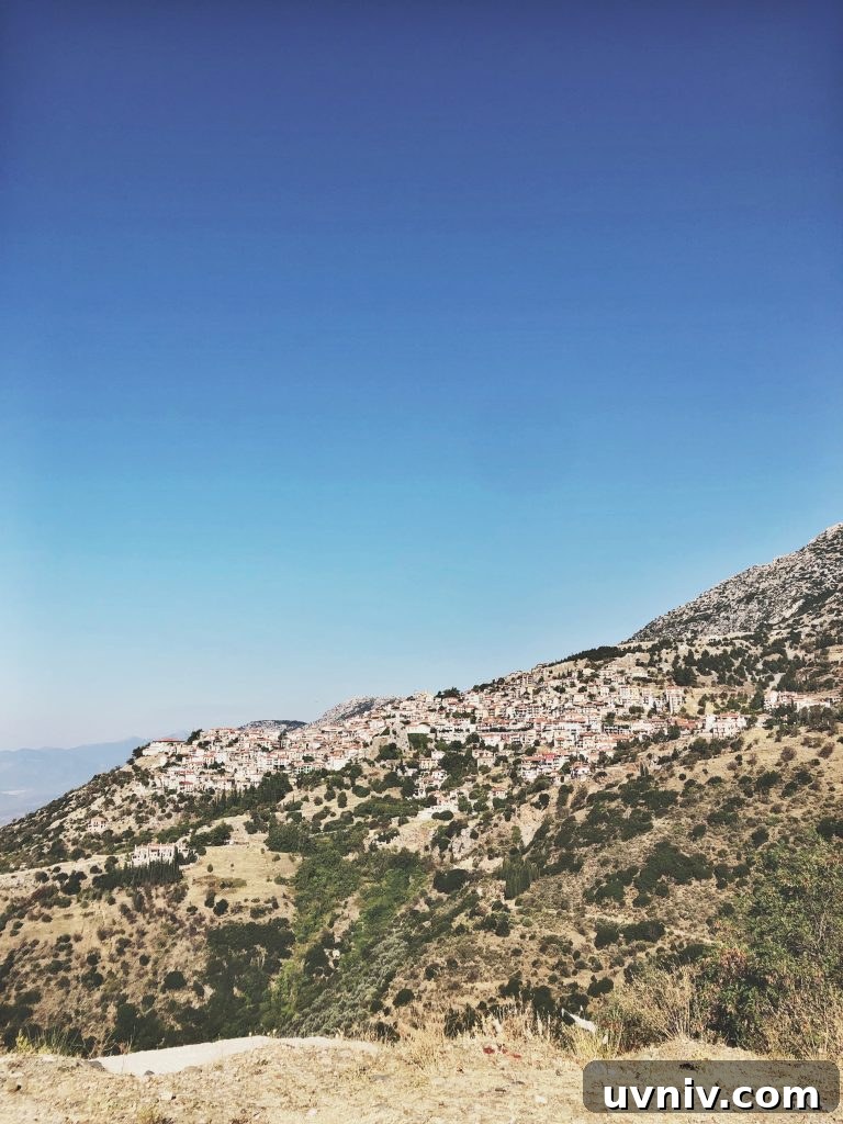 img 1025 30