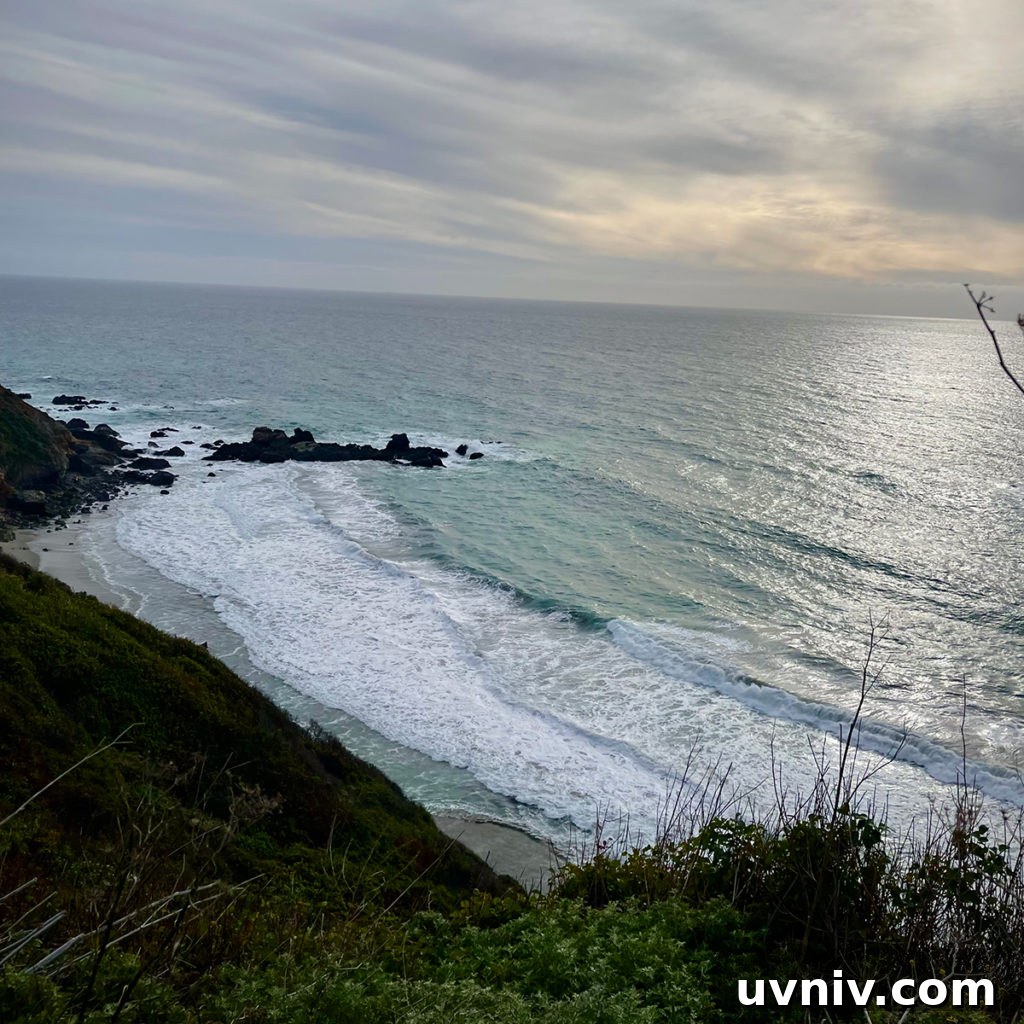 Looking out over the ocean from the California coast near Big Sur.