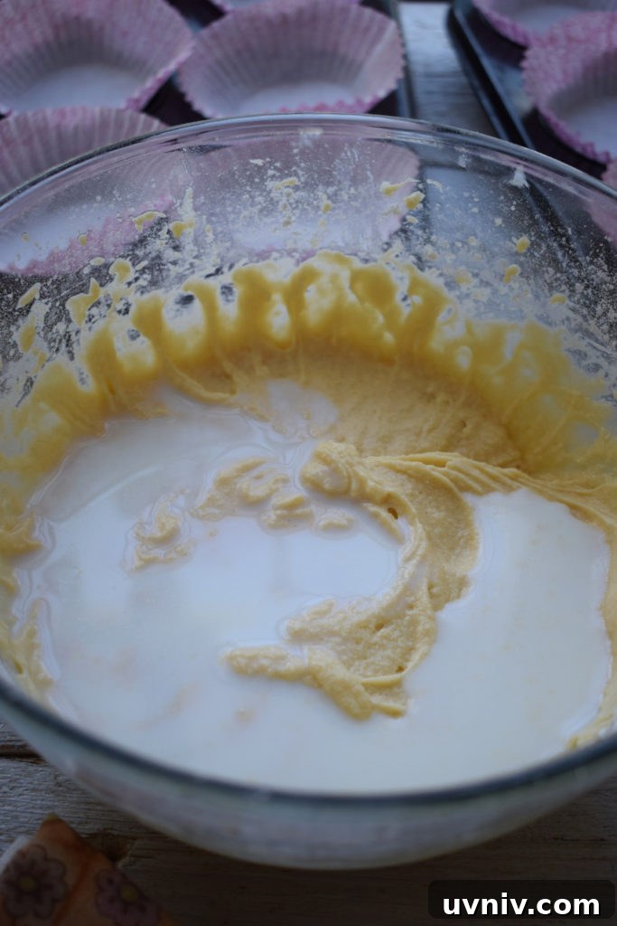 adding milk to cake batter