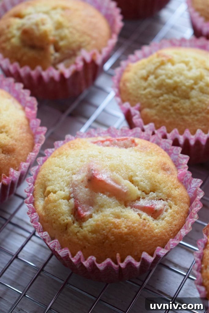Fresh baked Strawberry cupcakes on a cooling rack