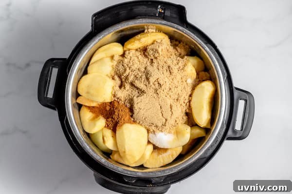 apples, brown sugar, cinnamon, and salt in an instant pot.