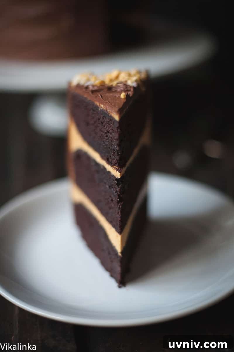Close up of chocolate honeycomb cake slice