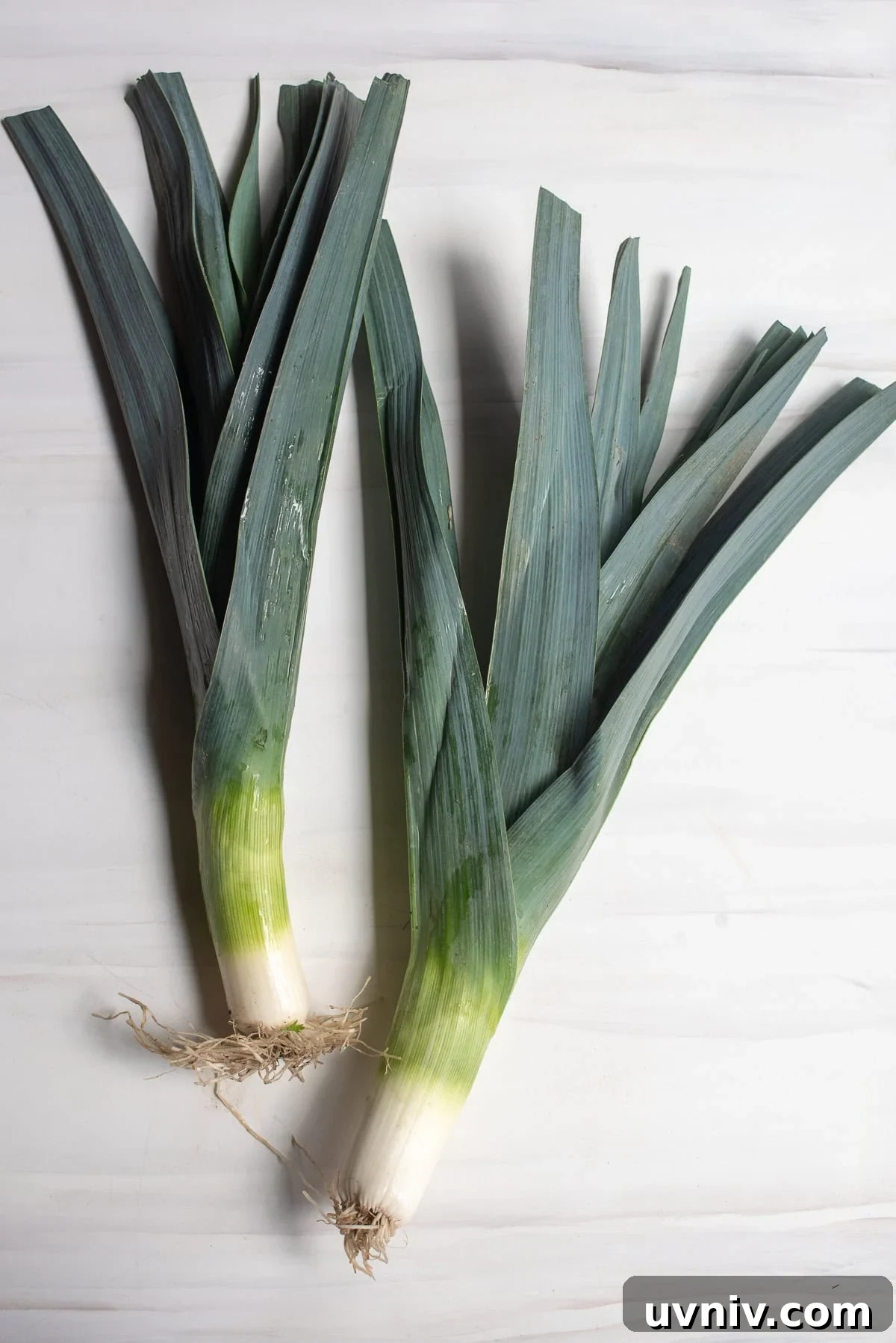 Two leeks on a light surface.