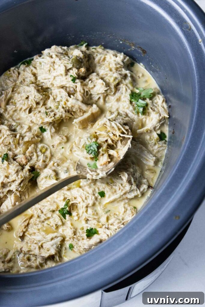 Shredded green chicken chile in a slow cooker with a spoon.