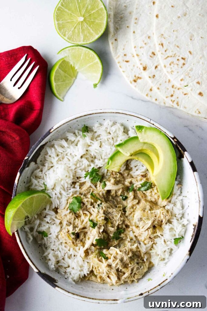 Green chile chicken in a bowl with rice. Tortilla shells and lime slices next to the bowl.