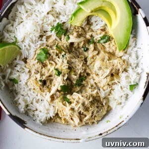 A bowl of green chicken chile over white rice.